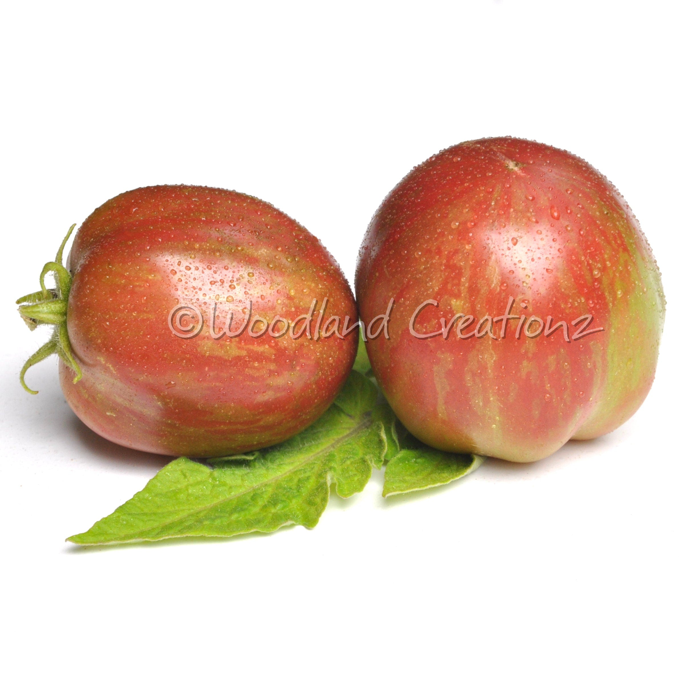 Groovy Tunes Tomato - Micro Dwarf Tomato Seeds - Chartreuse Green Leaves