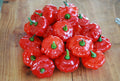 10 Sweet Bonnet Pepper seeds ! USA ! Spicy ! Hot ! Specialty ! 2024 ! Fruity !