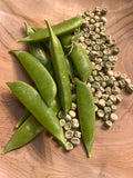 Sugar-snap pea seeds