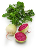 Watermelon radish (Chinese red meat radish) seeds