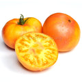 Afternoon Delight Tomato Seeds: Yellow Beefsteak Heirloom