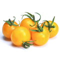 Birdie Jaune Micro Tomato Seeds: Yellow Cherry Dwarf Variety
