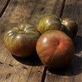The THONG Dwarf Tomato - Dwarf Tomato Seeds - Dwarf Beefsteak Tomato - Rare Tomato