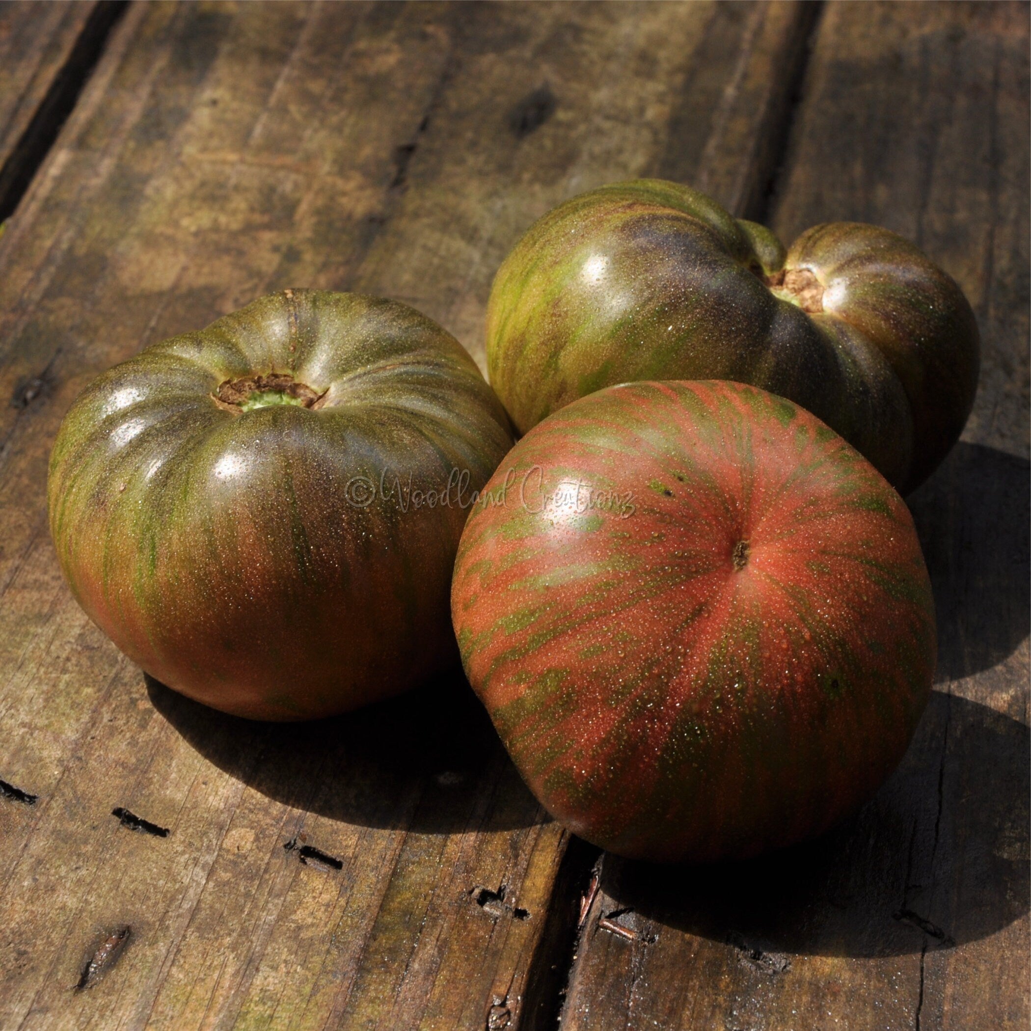 The THONG Dwarf Tomato - Dwarf Tomato Seeds - Dwarf Beefsteak Tomato - Rare Tomato
