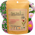 Non-GMO Dwarf English Daisy 'Mixed' Seed in compostable pouch covers 250-2,000 SqFt
