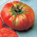 German Head Tomato Seeds