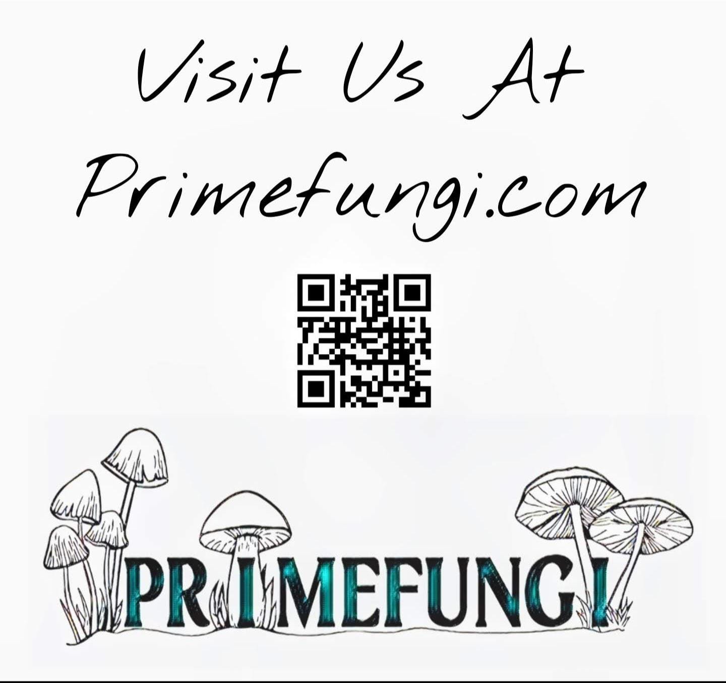 Ganoderma chalceum Mushroom Liquid Culture Oregon Polypore