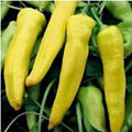 Banana Bounty Sweet Peppers Seeds