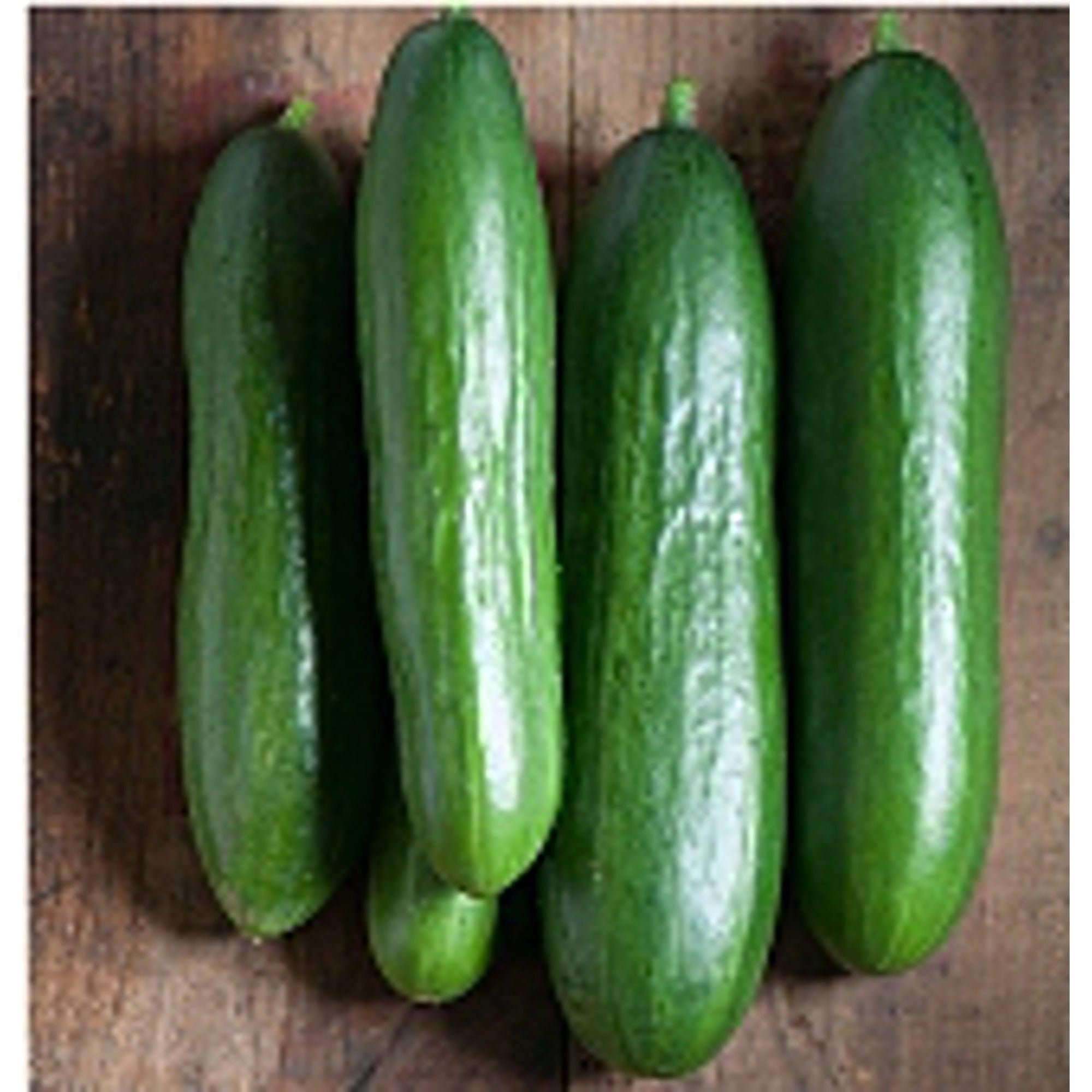 Diva Cucumbers Seeds
