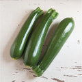 Dunja Organic (F1) Squash Seeds