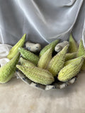 Real Milkweed Pods – 5 Pack | Attract Monarch Butterflies & Pollinators  “Asclepias” 5 pods - Hundreds of seeds ( 2025 fresh )
