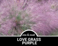 Love Grass, Purple | 50 Seeds | Heirloom Ornamental Grass | Drought Tolerant | Amazing Landscape Plant | Eragrostis spectabilis