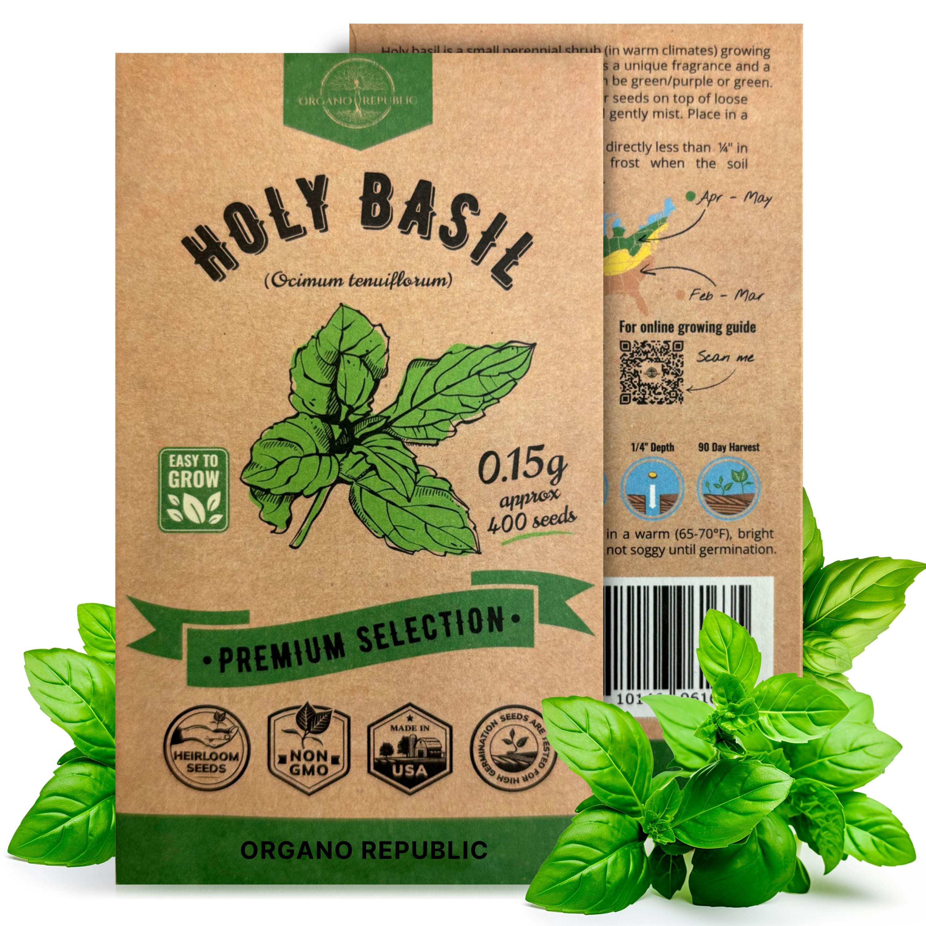 Holy Basil Seeds: 1400+ Non GMO Heirloom Seeds for Planting