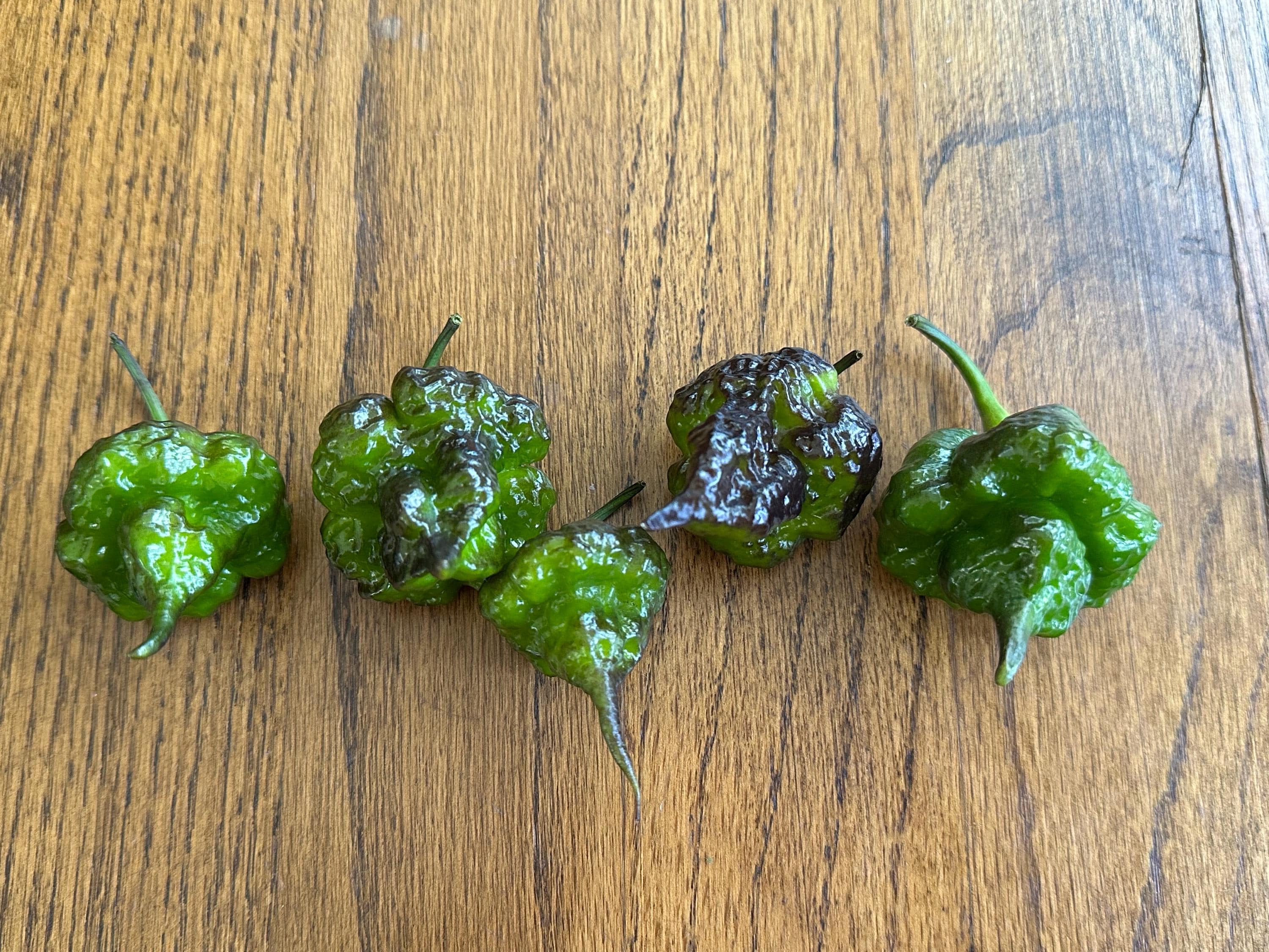 Da Hulk Super Hot Pepper Seeds