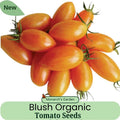 Blush Organic Tomato Seeds Open Pollinated, USA SELLER