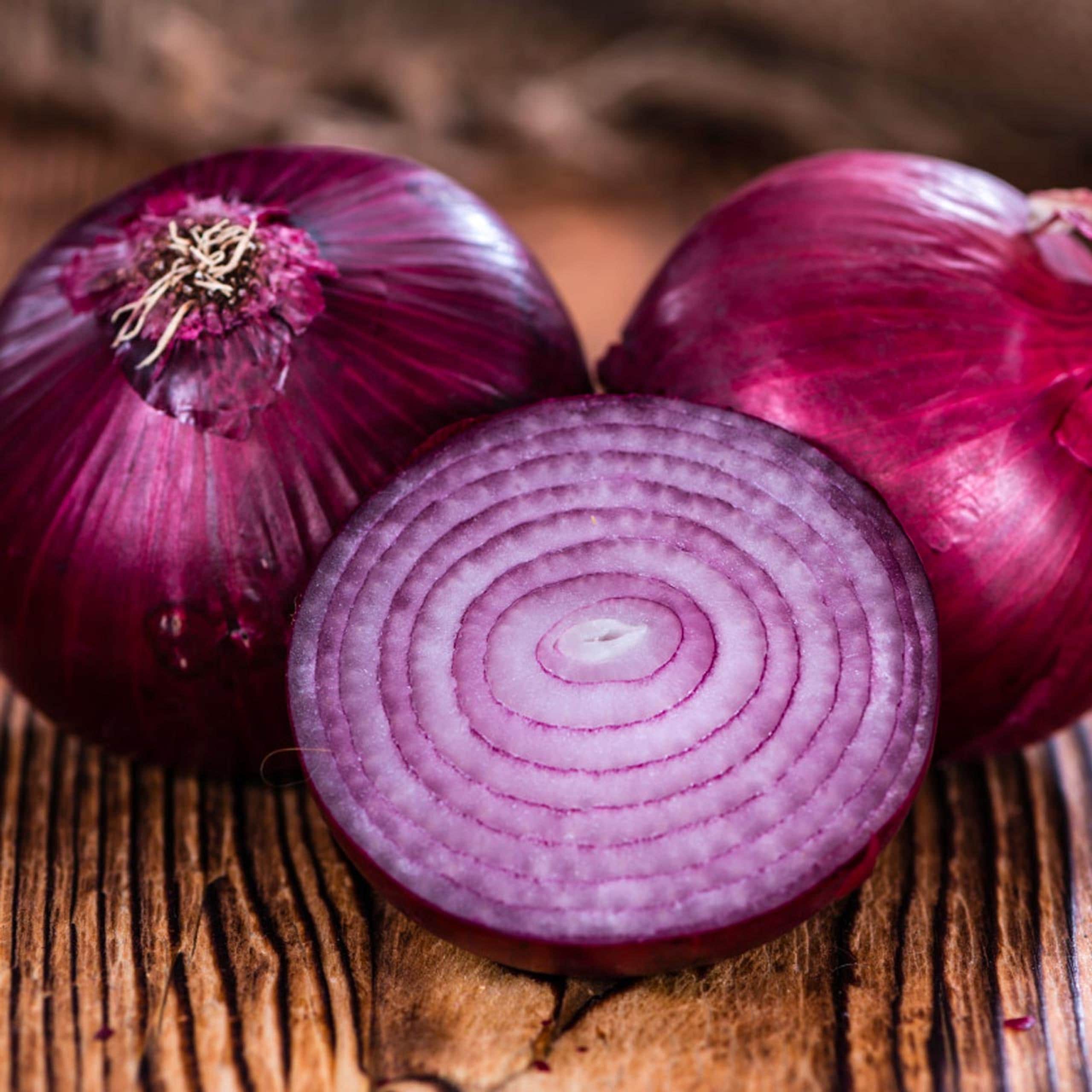 Ruby Red Onion Seeds 200+ Allium Cepa Vegetable Garden NON-GMO USA
