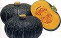 10 Kurinishiki Kabocha squash - Specialty ! Kabocha ! Tasty ! Asian ! USA !