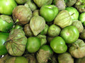 Grande Rio Verde Tomatillo Seeds 50 Ct Vegetable Heirloom NON-GMO USA