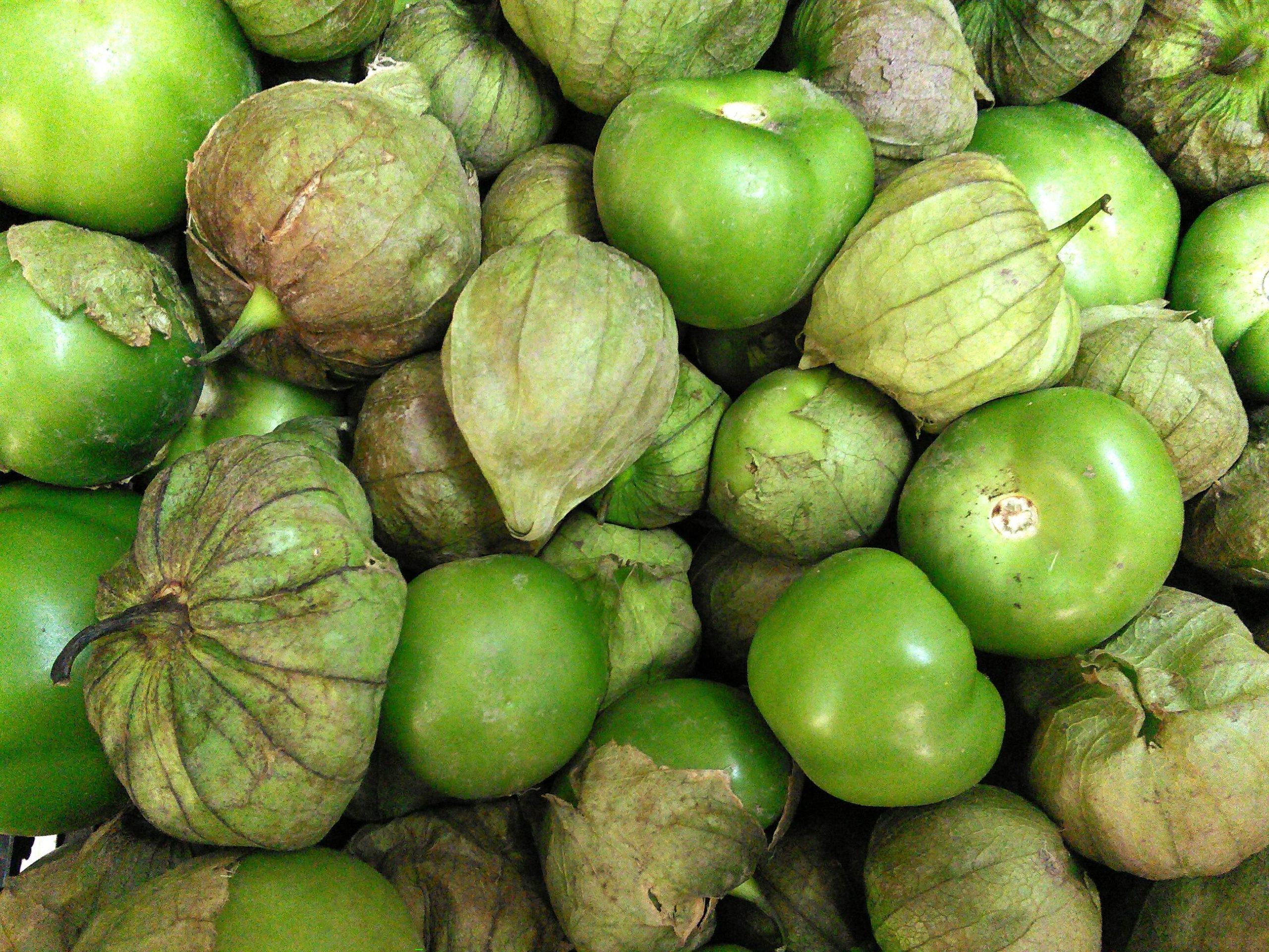 Grande Rio Verde Tomatillo Seeds 50 Ct Vegetable Heirloom NON-GMO USA