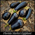 20 'Florida Market Eggplant' Seeds, Florida Heirloom Eggplant Seeds,  Solanum melongena Seeds, Organic, Open Pollinated Seeds Seed The Stars