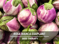 Rosa Bianca Eggplant Seeds – Heirloom, Open Pollinated, Non-GMO, Italian Classic with Tender & Sweet Flavor | 50 Seeds