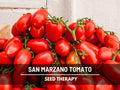 San Marzano Tomato Seeds – Heirloom Vegetable, Indeterminate Plant, Rich and Flavorful, Perfect for Tomato Sauce | 50 Seeds