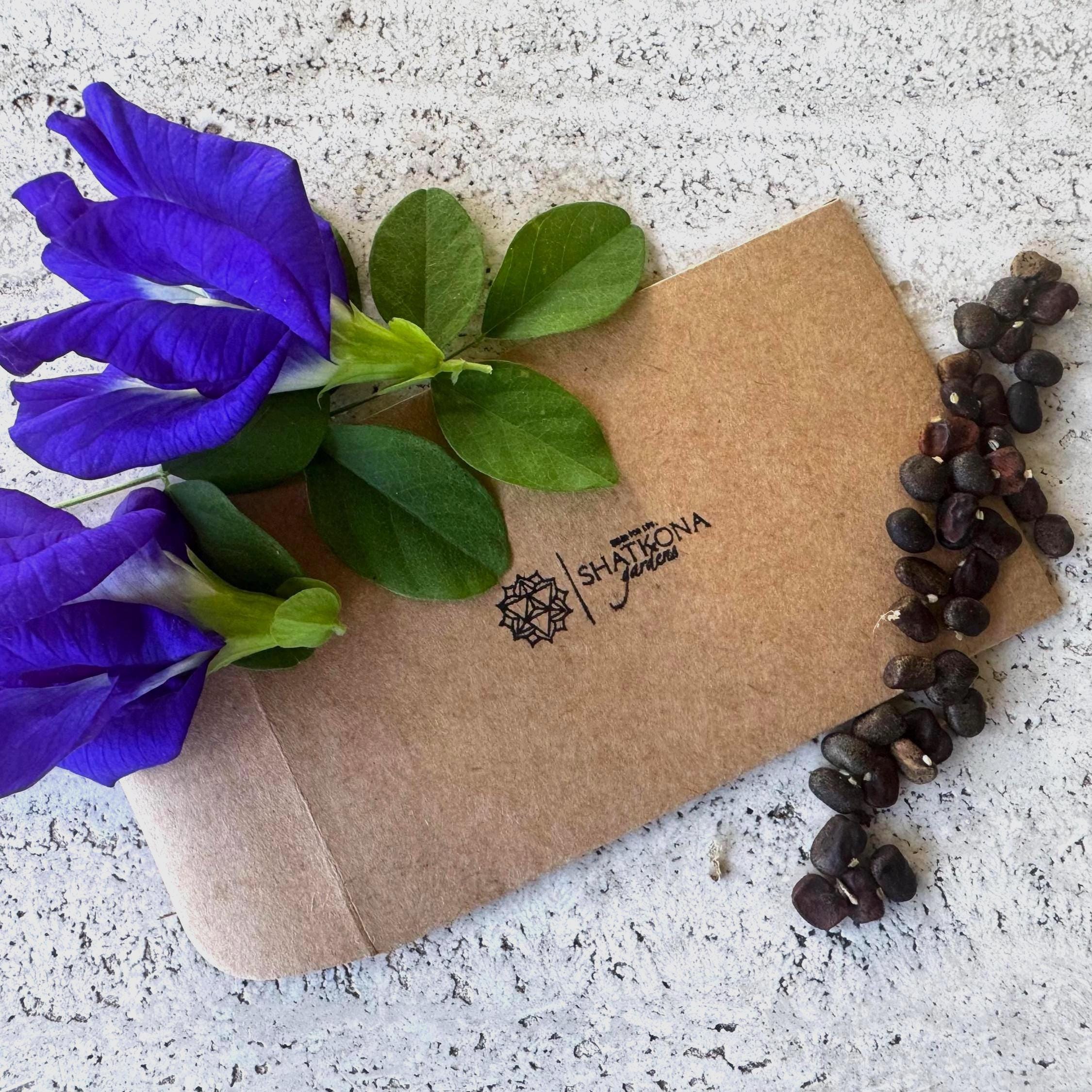 15 Blue Butterfly Pea Seeds | Clitoria ternatea | Edible Flowers & Tea Vine | Fresh 2025 Harvest | Florida-Grown