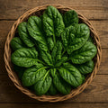 Bloomsdale Long Standing Spinach Seeds: Heirloom, Non-GMO, USA Grown