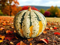 Carnival Pumpkin Seeds, Organic, Non GMO, 10+