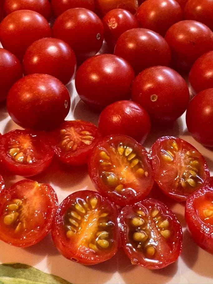 Renegade Spider Tomato Seeds