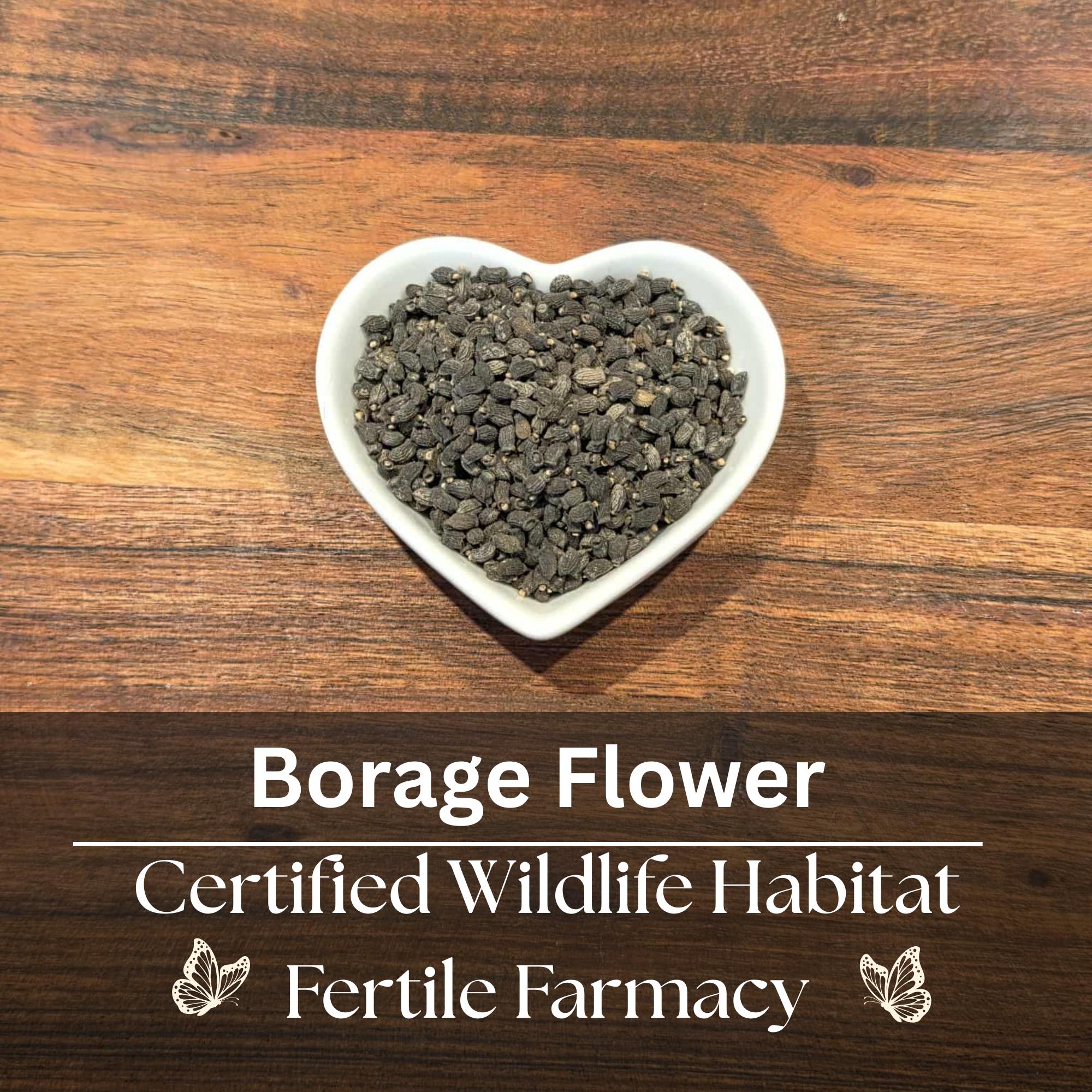Borage Seeds ~ Blue Flowers ~ Pollinator Friendly ~ Butterfly Habitat ~  Florida Grown 100 seeds