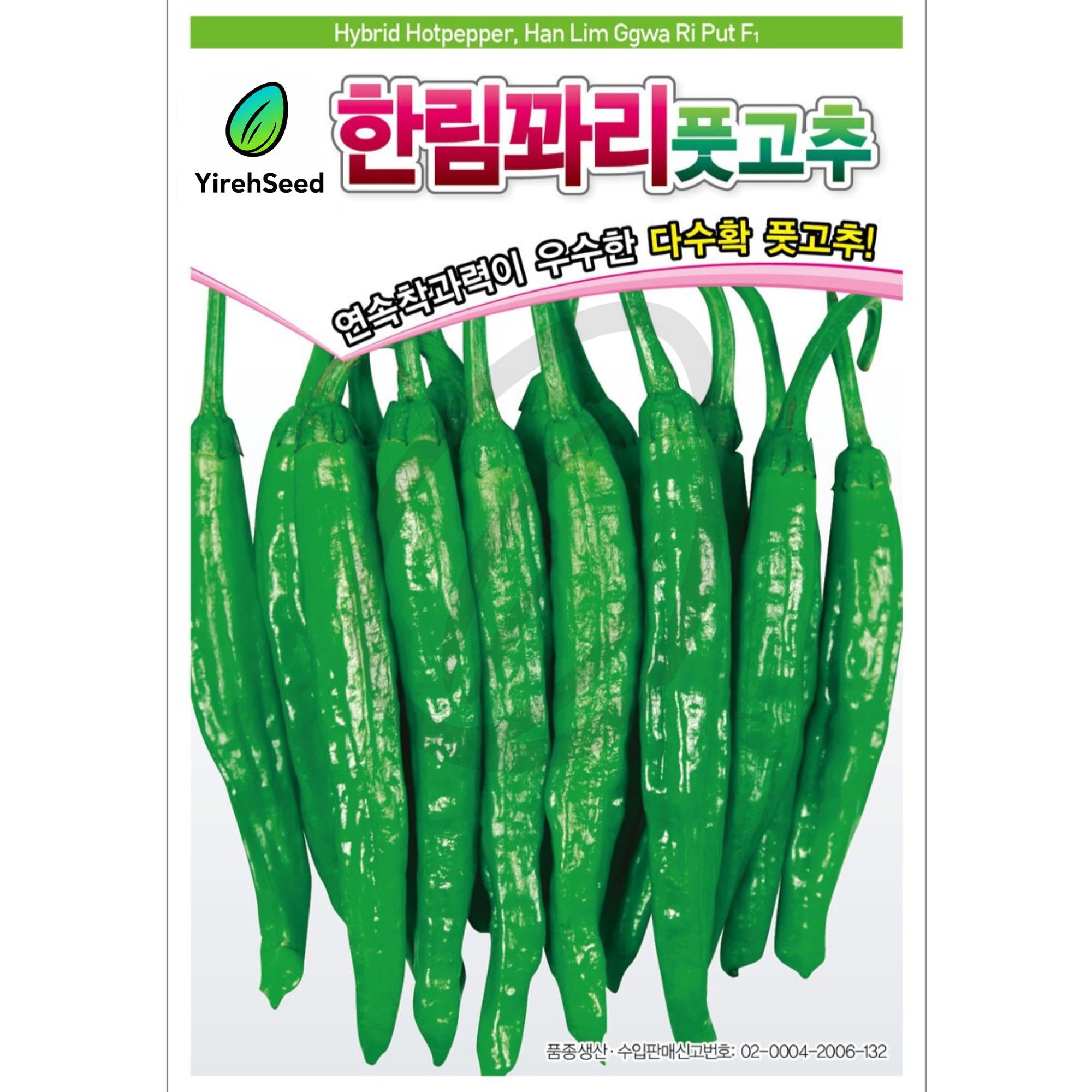 Korean Hot Pepper Seeds: Non-GMO Heirloom, 꽈리고추