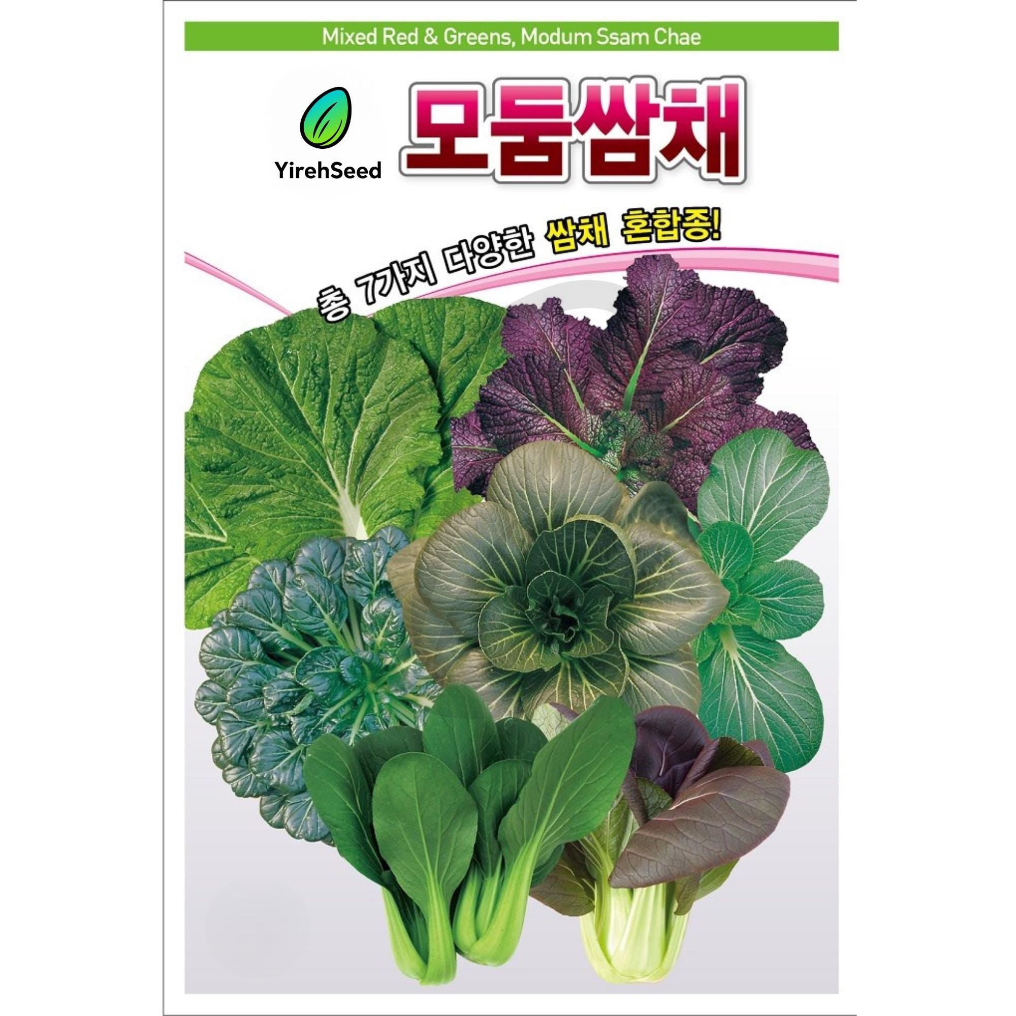 Korean Lettuce Mix Seeds: Red & Green Mix, Non-GMO Heirloom, 모둠쌈채