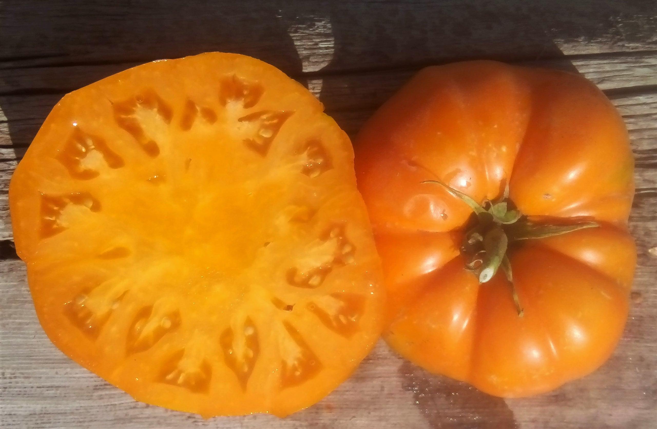 Altai Orange, Beefsteak Tomato, Rare Russian Heirloom Garden Seeds - Non-GMO, Open Pollinated Vegetable Seed Packets for Container Gardening