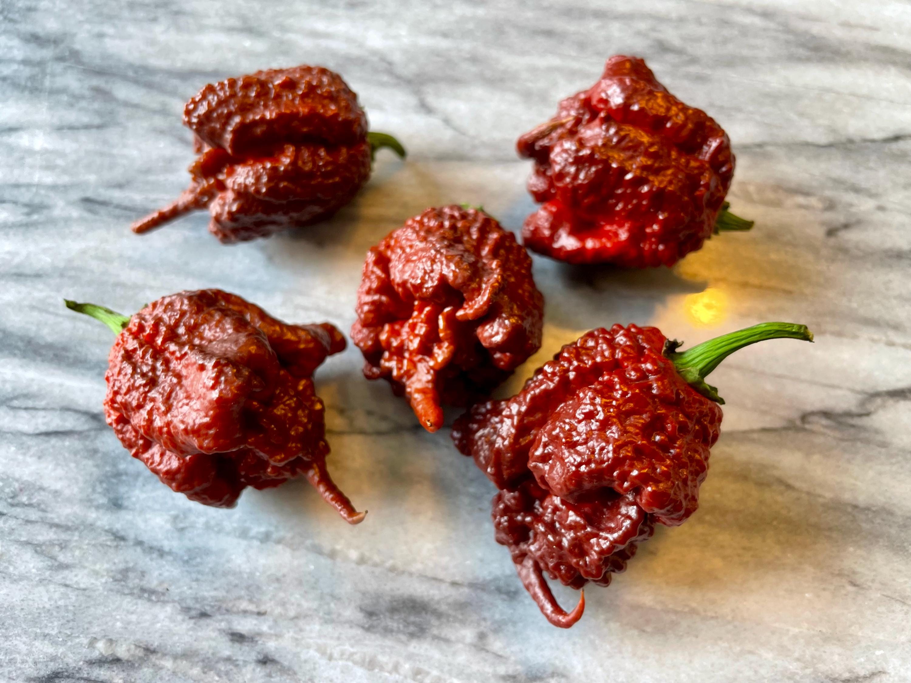 Chocolate Carolina Reaper Pepper Seeds