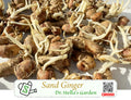 Sand Ginger Rhizomes - Aromatic Kentjur, Less Spicy Than Ginger, Unique Flavor | 沙姜种根 - 山奈 独特辛香 粤式白切鸡灵魂伴侣 | 4 oz